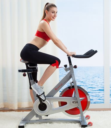 Xe đạp tập thể dục Bến Tre giá tốt