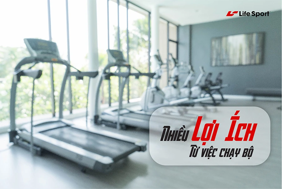 Máy chạy bộ Hải Phòng, chất lượng, góp 0%