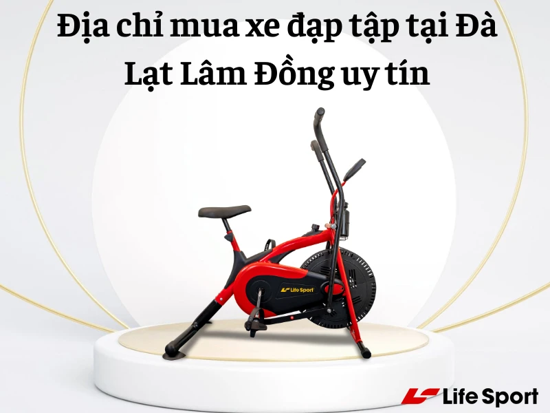 Địa chỉ mua xe đạp tập tại Đà Lạt Lâm Đồng uy tín