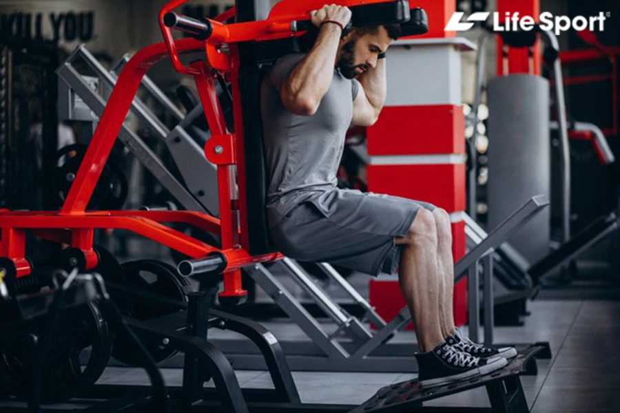 Giàn tạ đa năng | Giá tốt, góp 0%