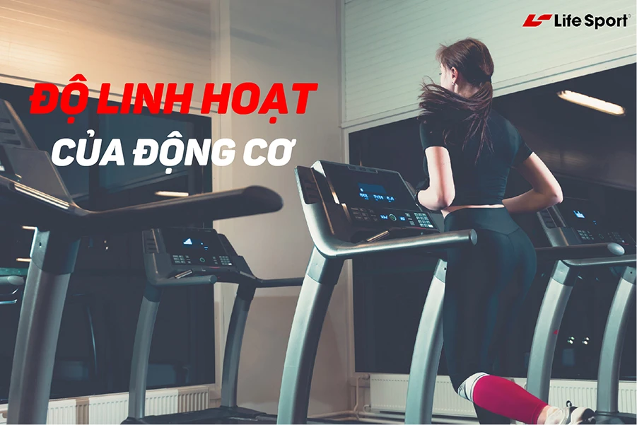 Độ linh hoạt của máy phụ thuộc vào động cơ