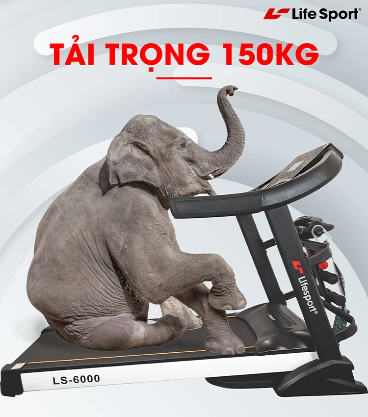 Tải trọng phù hợp