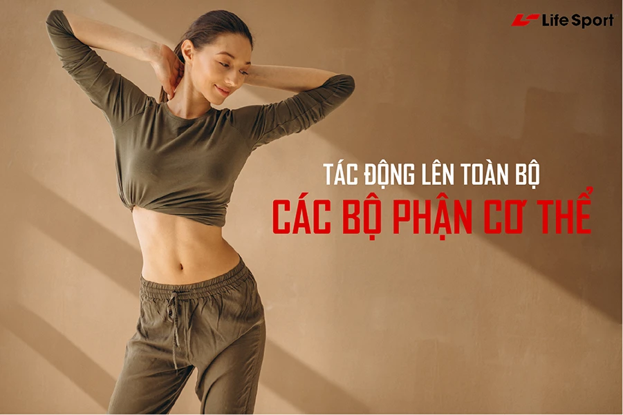 Máy tác động lên toàn bộ các bộ phận cơ thể