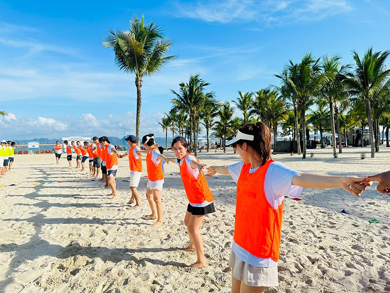 Noiis vòng tay lớn cùng Lifesport