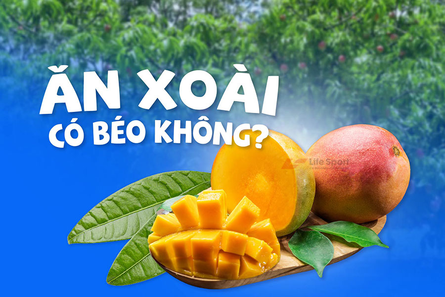 Ăn xoài có béo không? 3 lí do bạn nên ăn xoài mỗi ngày