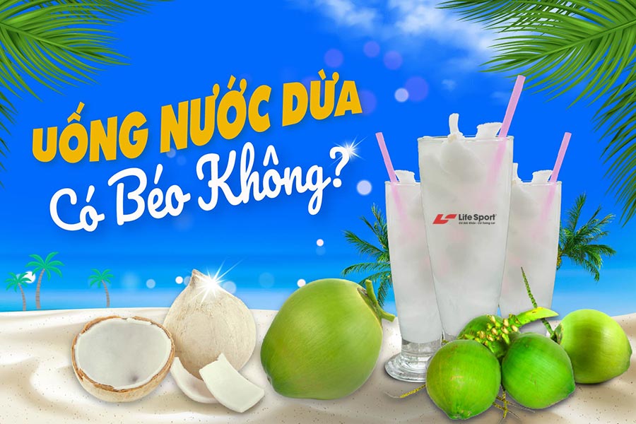Uống nước dừa có béo không? Nên uống nước dừa khi nào?