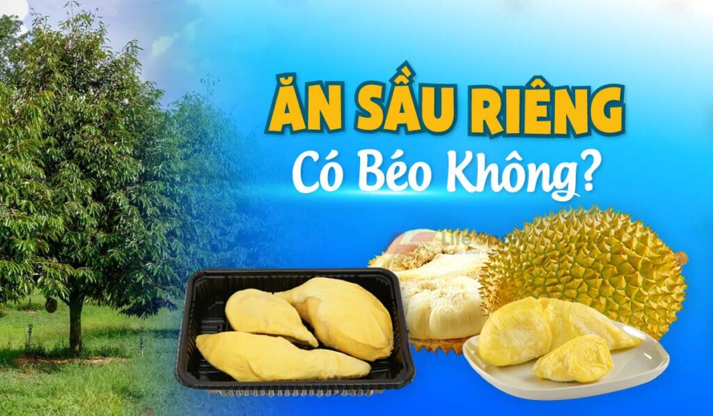 Ăn sầu riêng có béo không? Top 3 loại sầu riêng mà bạn nên ăn