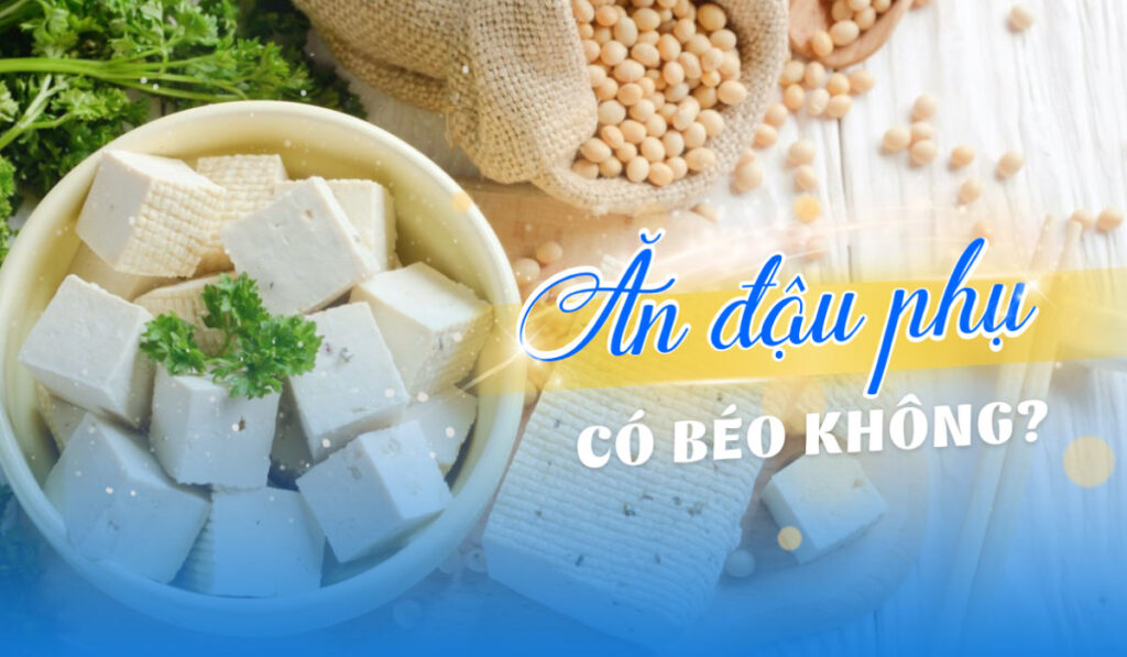 Ăn đậu phụ có béo không? Những món ngon từ đậu phụ
