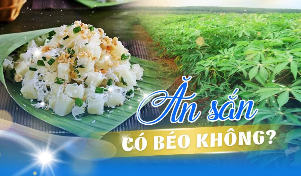Ăn Sắn Có Béo Không? 4 Lợi Ích Tuyệt Vời Của Sắn