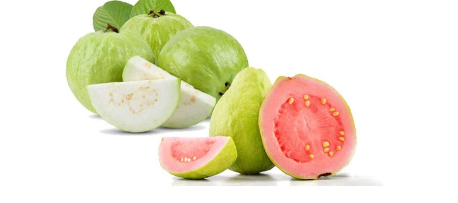 Những lưu ý cần biết khi ăn ổi 