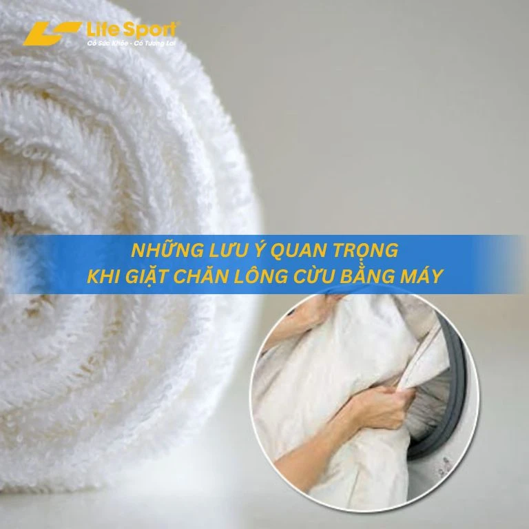 Những lưu ý quan trọng khi giặt chăn lông cừu bằng máy