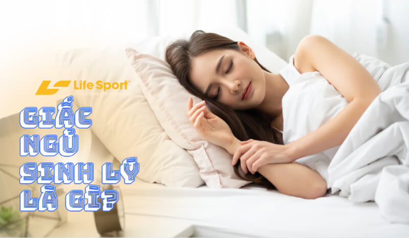 Giấc Ngủ Sinh Lý Là Gì? Tác Dụng Với Sức Khỏe