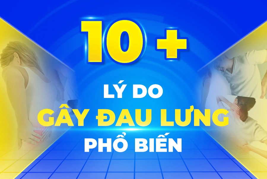 Top 10 Lý Do Gây Đau Lưng Phổ Biến & Cách Khắc Phục Hiệu Quả