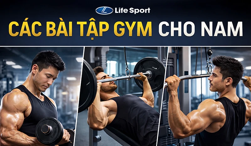 Các Bài Tập Gym Cho Nam: Tăng Cơ, Sức Mạnh Và Sức Khỏe